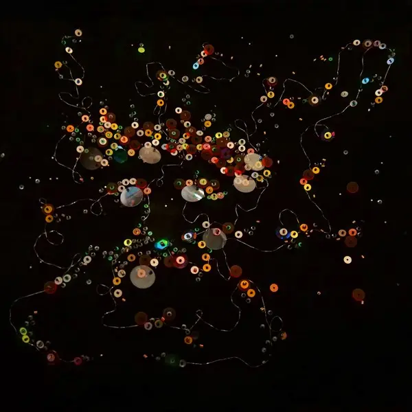 Sylvain Le Ray - Poussière d'Ame (2025)