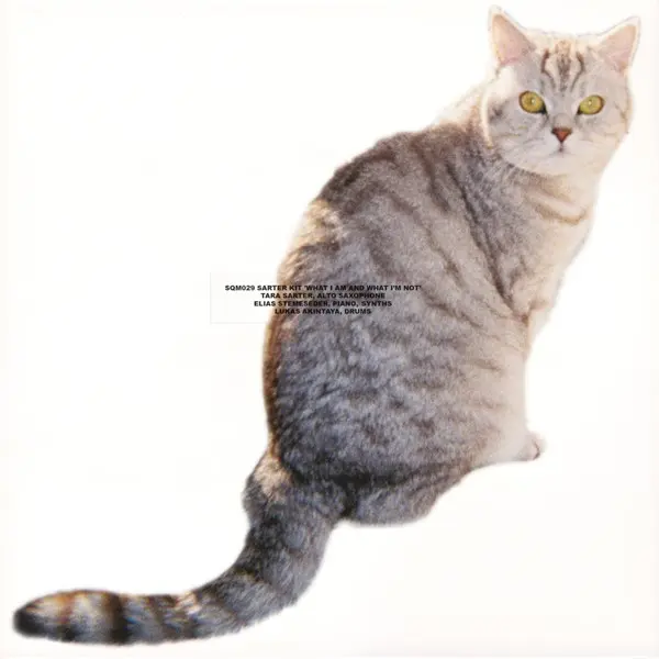Sarter Kit - What I Am and What I'm Not (2025)