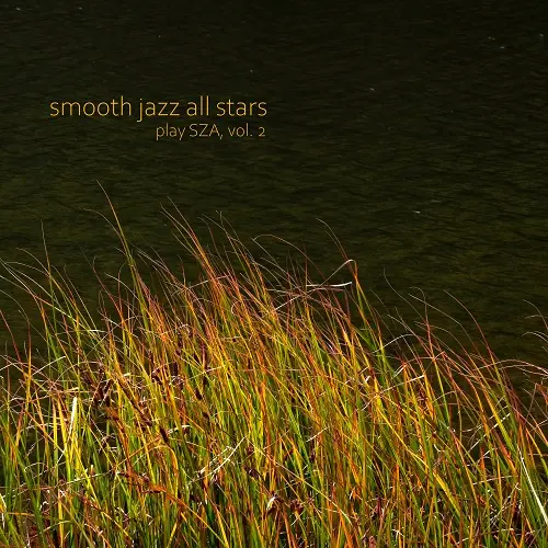 Smooth Jazz All Stars - Smooth Jazz All Stars Play SZA, Vol. 2 (Instrumental) (2025)