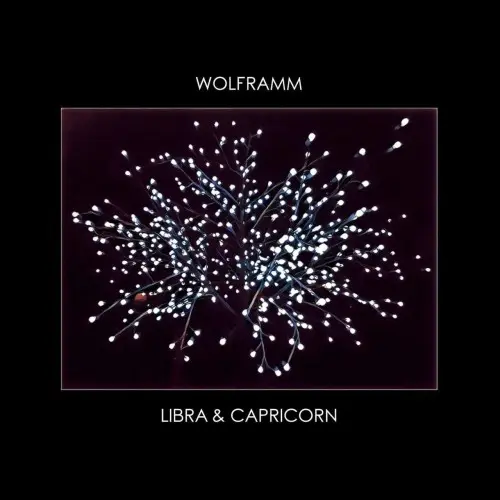 Wolframm - Libra & Capricorn (Single) (2024)
