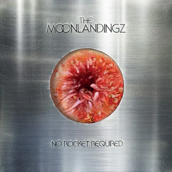 The Moonlandingz - No Rocket Required (2025)