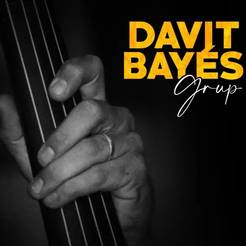 Davit Bayes - Davit Bayes Grup (2025)