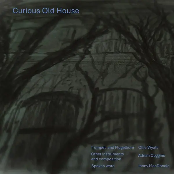 Adrian Coggins & Ollie Wyatt - Curious Old House (2025)