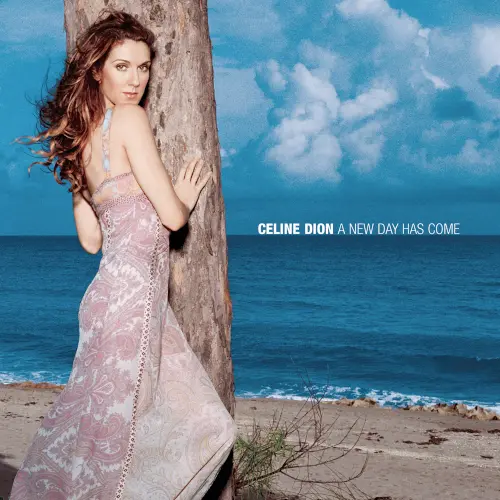Celine Dion - A New Day Has Come (2002)