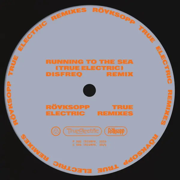 Röyksopp ft. Susanne Sundfør - Running to the Sea (Disfreq remix) (2025)