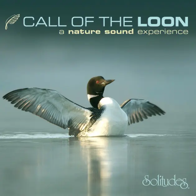 Solitudes - Call of the loon a surround sound experience (2006)