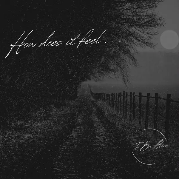 To Be Alive - How Does It Feel... (2025)