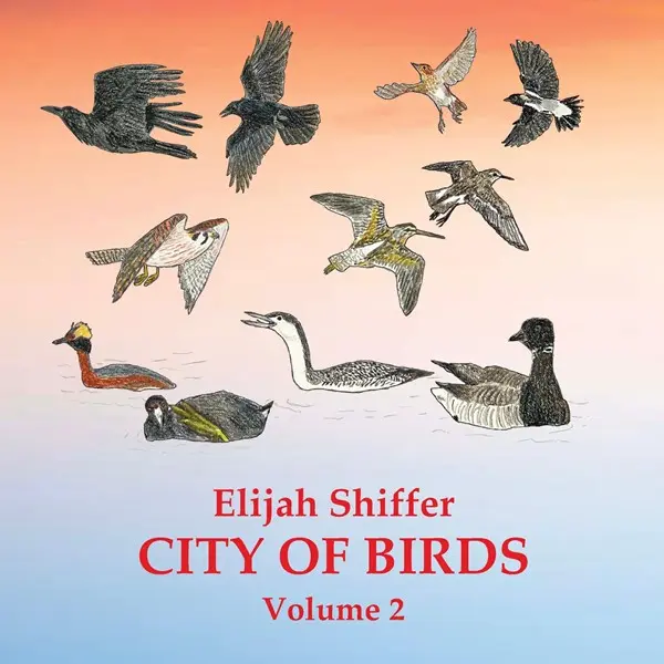 Elijah Shiffer - City Of Birds  Volume 2 (2025)