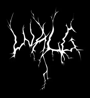 Walg - Дискография (2022-2025)