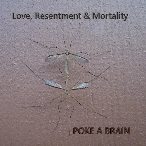Poke A Brain - Love, Resentment & Mortality (2025)