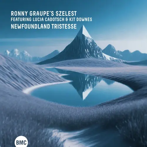 Ronny Graupe, Kit Downes, Lucia Cadotsch - Newfoundland Tristesse (2025)