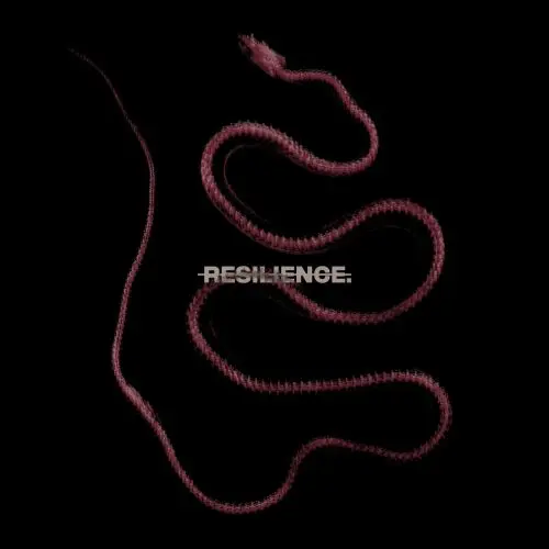 Throatcut - Resilience. (2025)