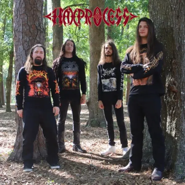 Haxprocess - Дискография (2022-2025)