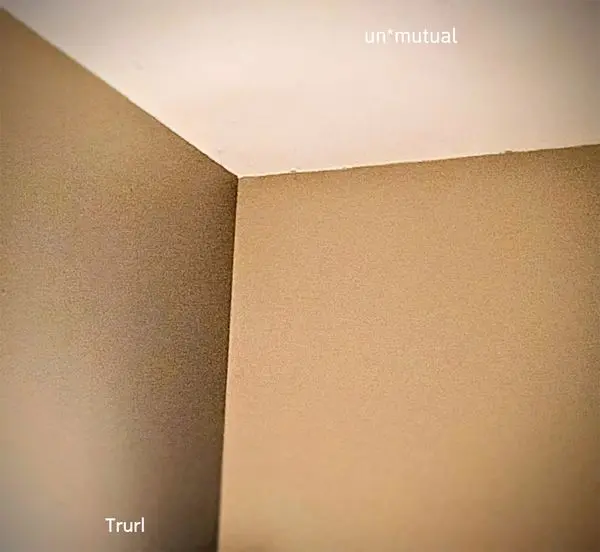 Trurl - un*mutual (2024)