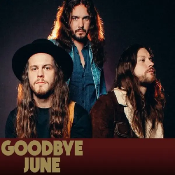 Goodbye June - Дискография (2013-2017)