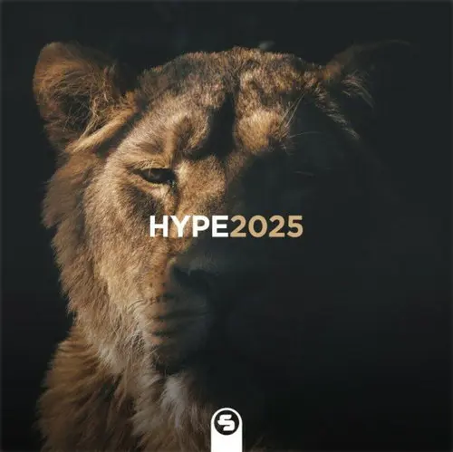 Hype2025 (2025)