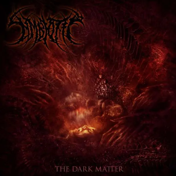 Symbiotic / The Dark Matter