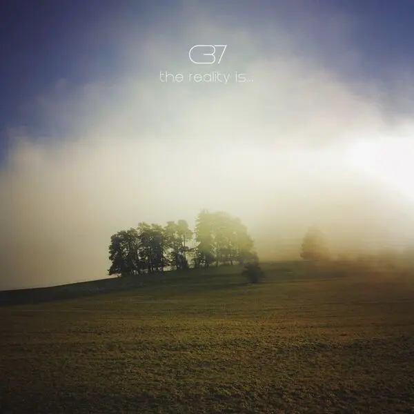 C37 / The Reality Is...