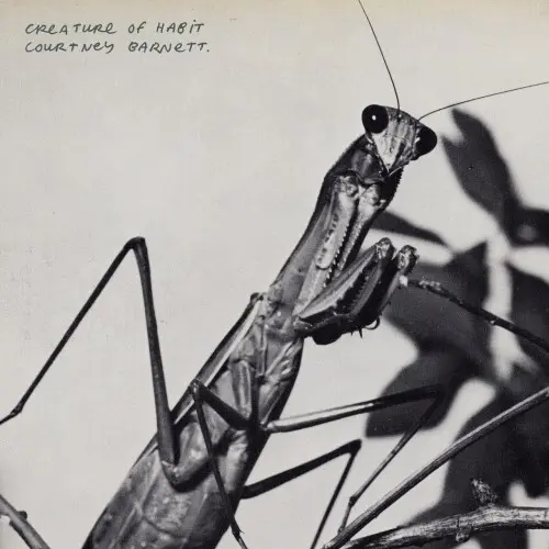 Courtney Barnett / Creature of Habit