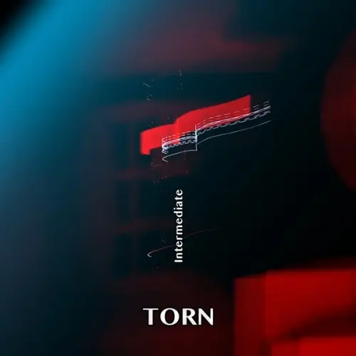 Torn / Intermediate