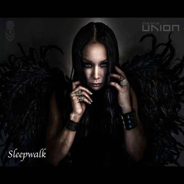 The True Union / Sleepwalk